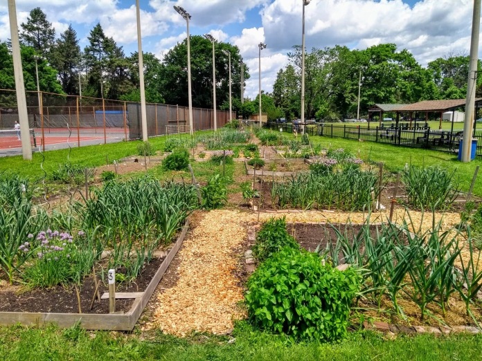 View of the garden from the Lawrence Avenue fenceline.